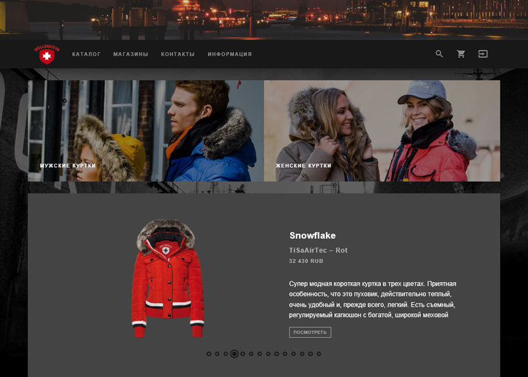 portfolio wellensteyn web